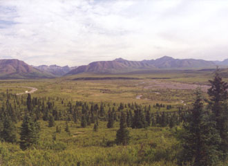 Denali National Park