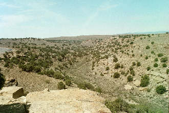 Desert wash in Utah