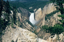 Lower Yellowstone Falls