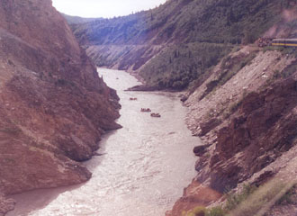 Rafters below RR tracks