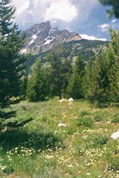 Teton National Park