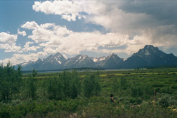 Tetons